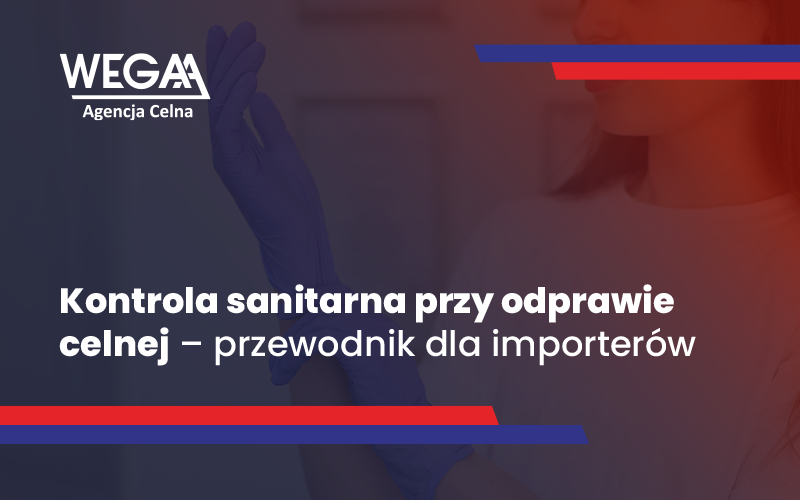 Kontrola sanitarna przy odprawie celnej – przewodnik dla importerów