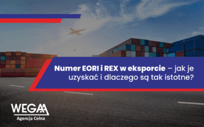 Numer EORI i REX w eksporcie – jak je uzyskać i dlaczego są tak istotne?